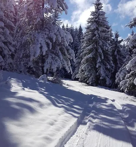 Kuca Ulaga Casa vacanze *
