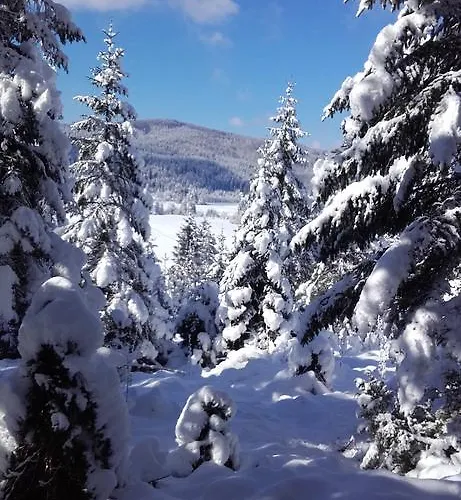 Kuca Ulaga Casa vacanze *